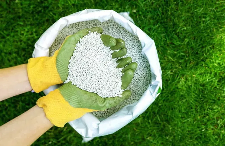 Hands holding fertilizer